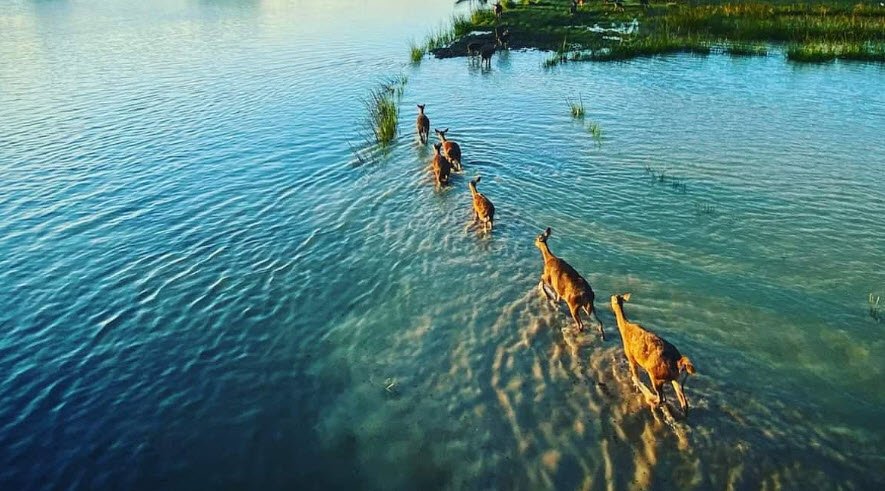 Lawalong Wildlife Sanctuary, Chatra, Jharkhand - Vushii.com